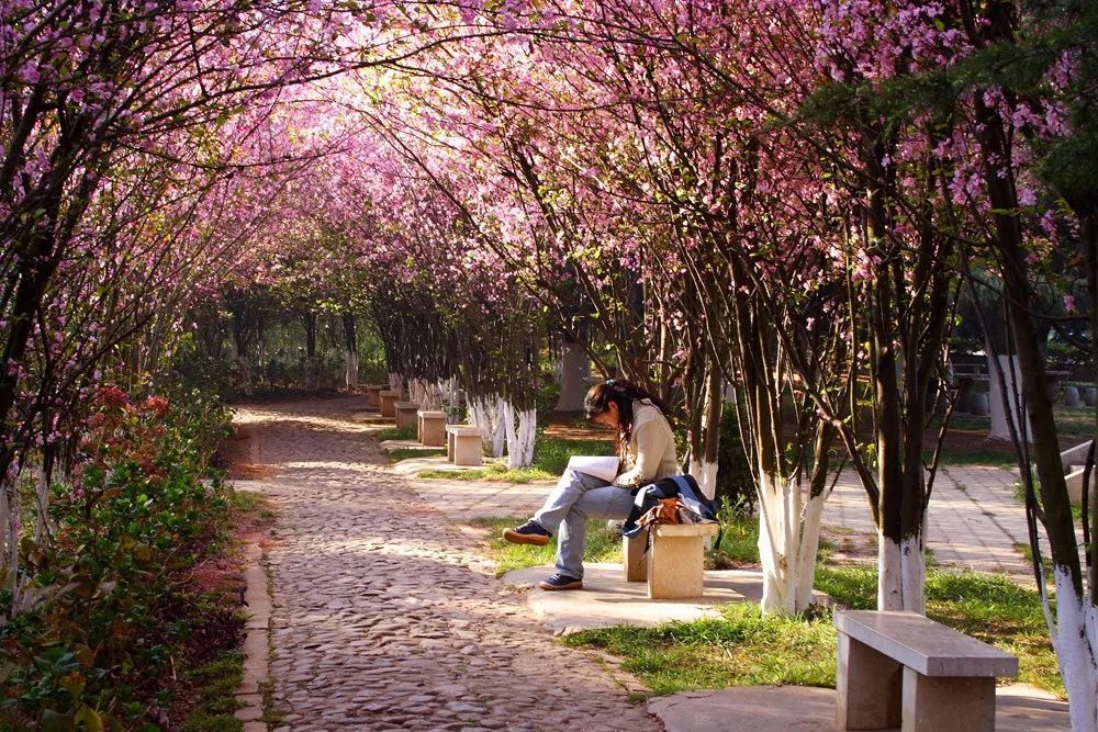 最容易进烟草系统的专业,进烟草最好进的专业