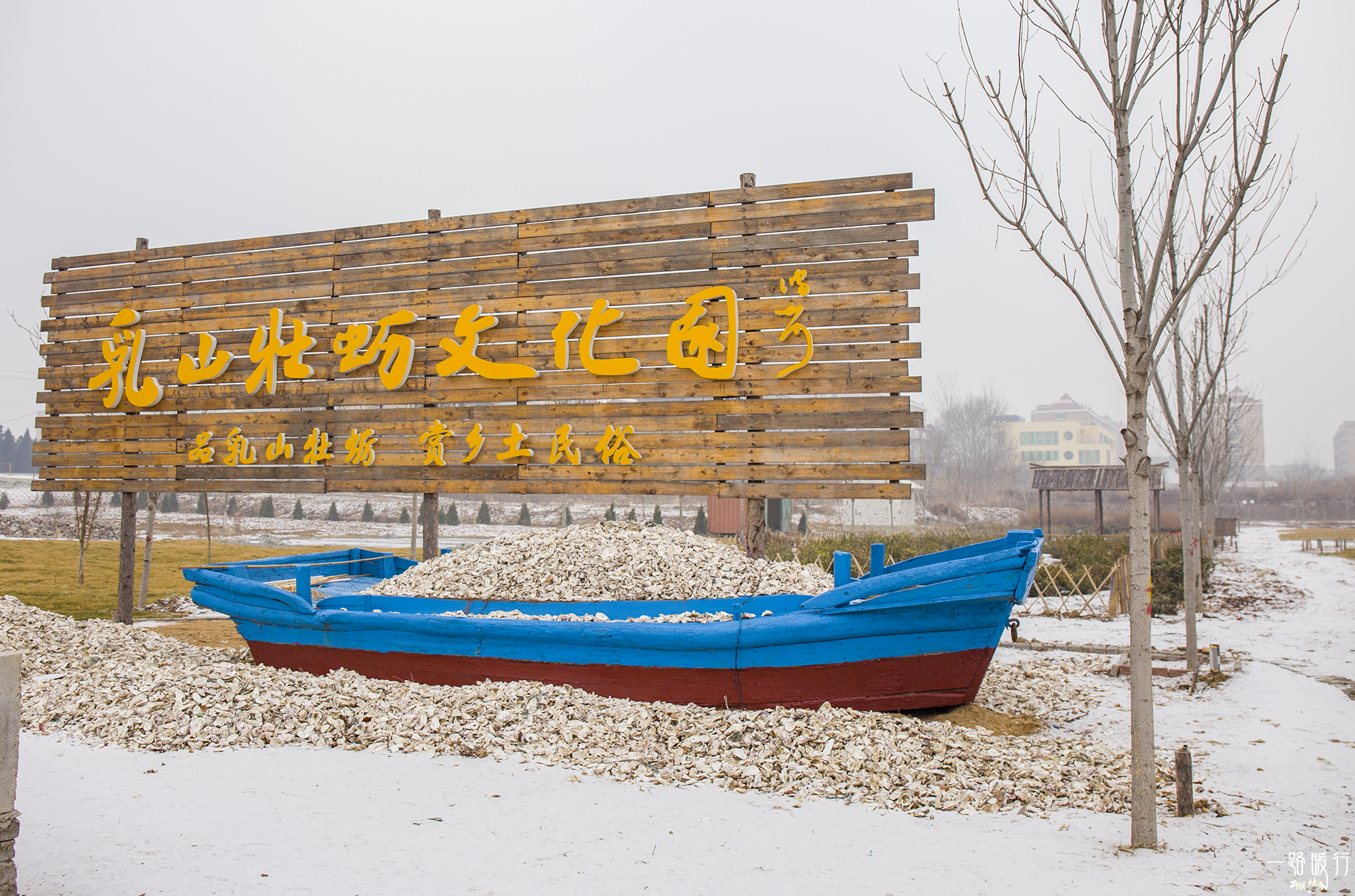 野生牡蛎王,海边野生牡蛎