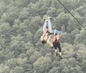 每天笑不停:据说狗肉和黄酒最配,今天晚上我就打算尝尝!