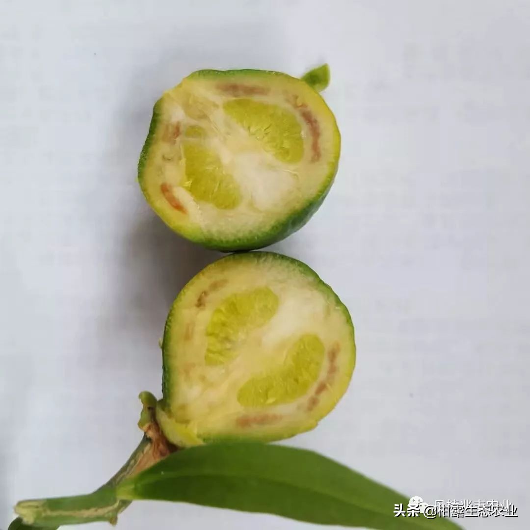 缺氮缺磷缺钾的表现,缺氮缺磷缺钾会怎么样