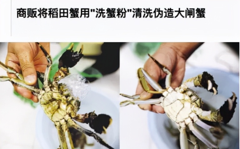 中秋节到了你送礼了吗,中秋螃蟹礼品券