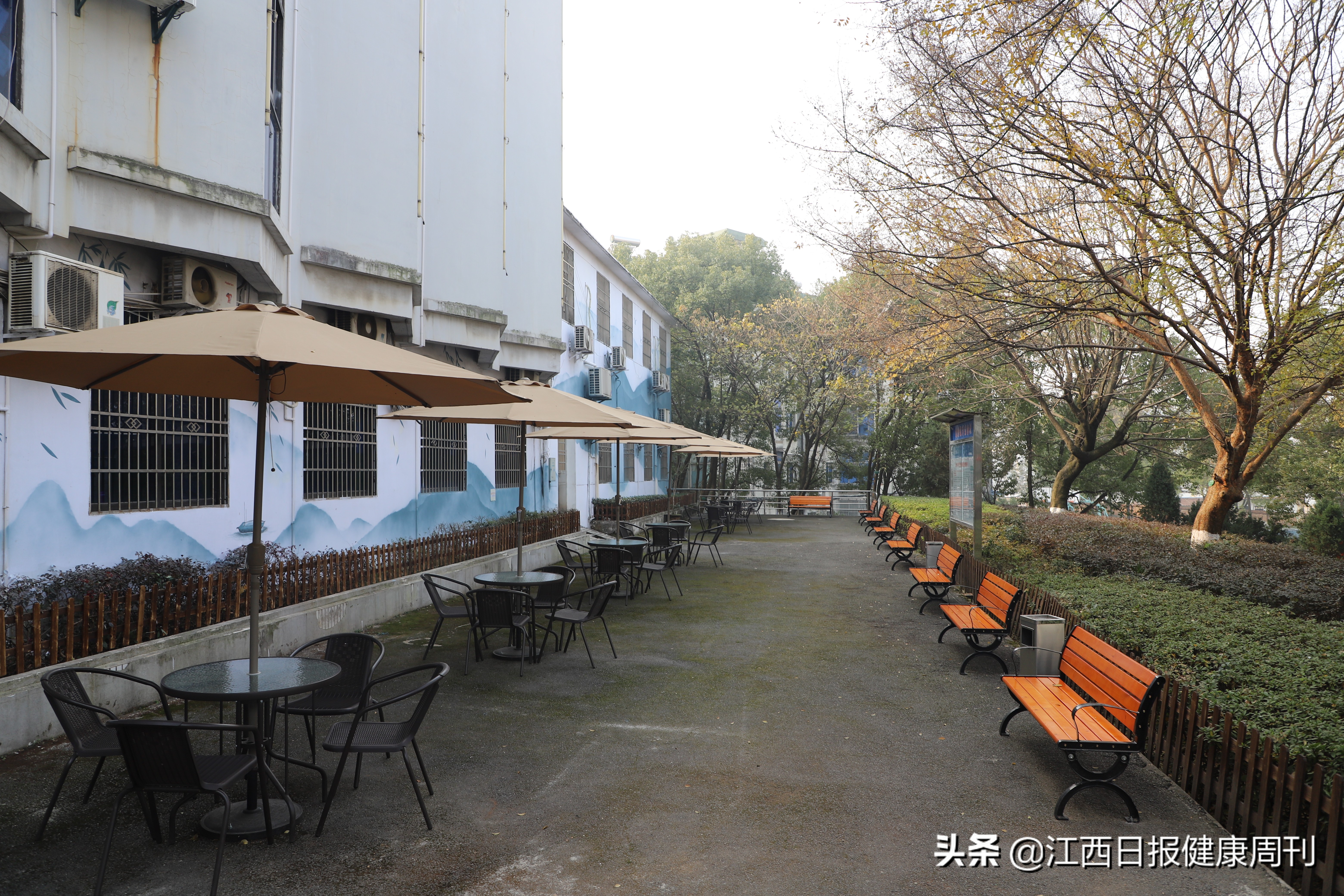 舵稳当奋楫风劲好扬帆——九江市第五人民医院高质量赶超发展纪实