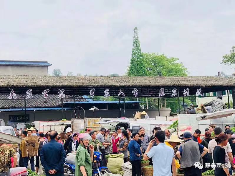 雨城名字由来,雨城区乡镇区划调整方案