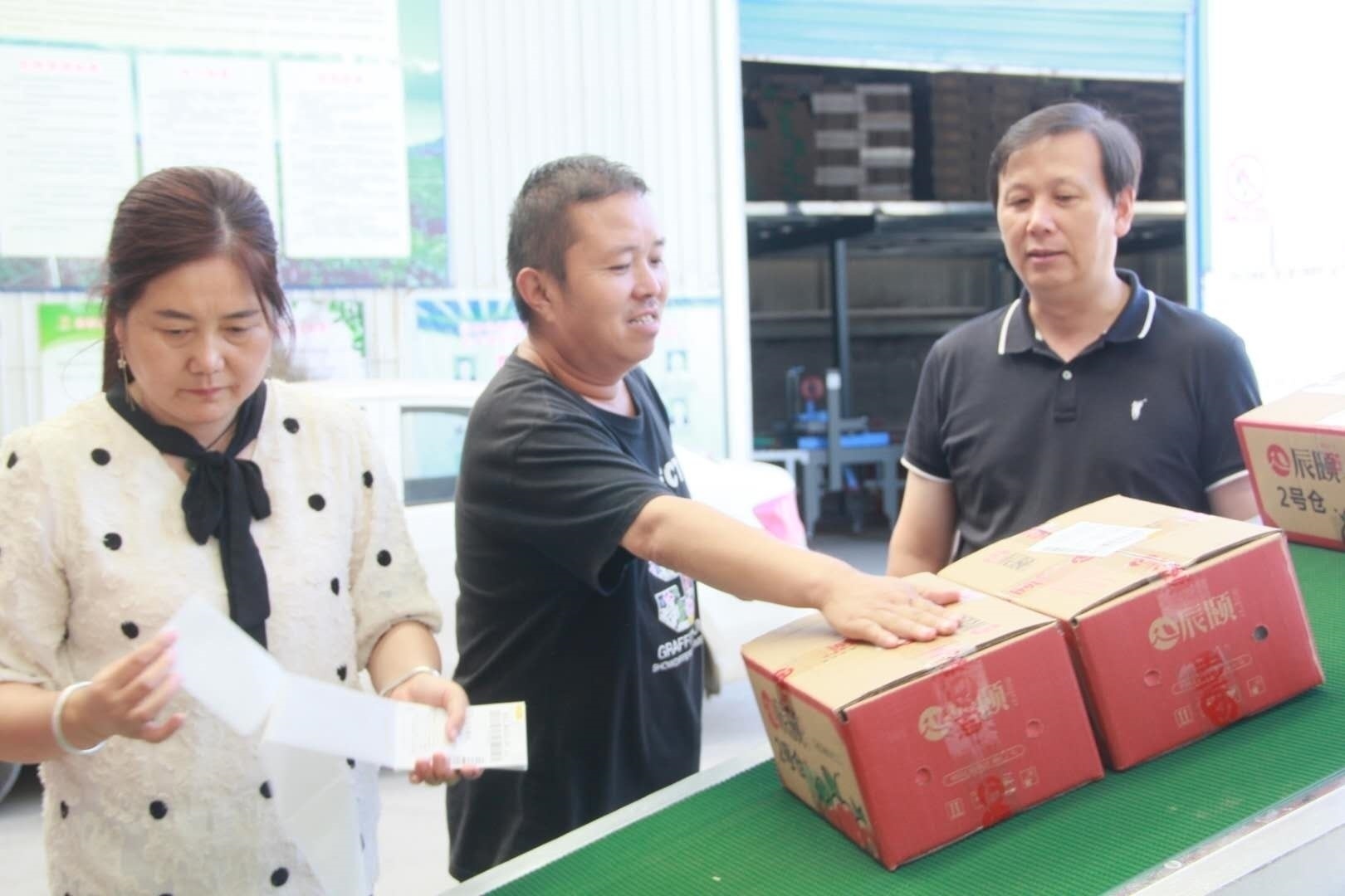 眉县猕猴桃电商企业,眉县国家级猕猴桃产业园物流