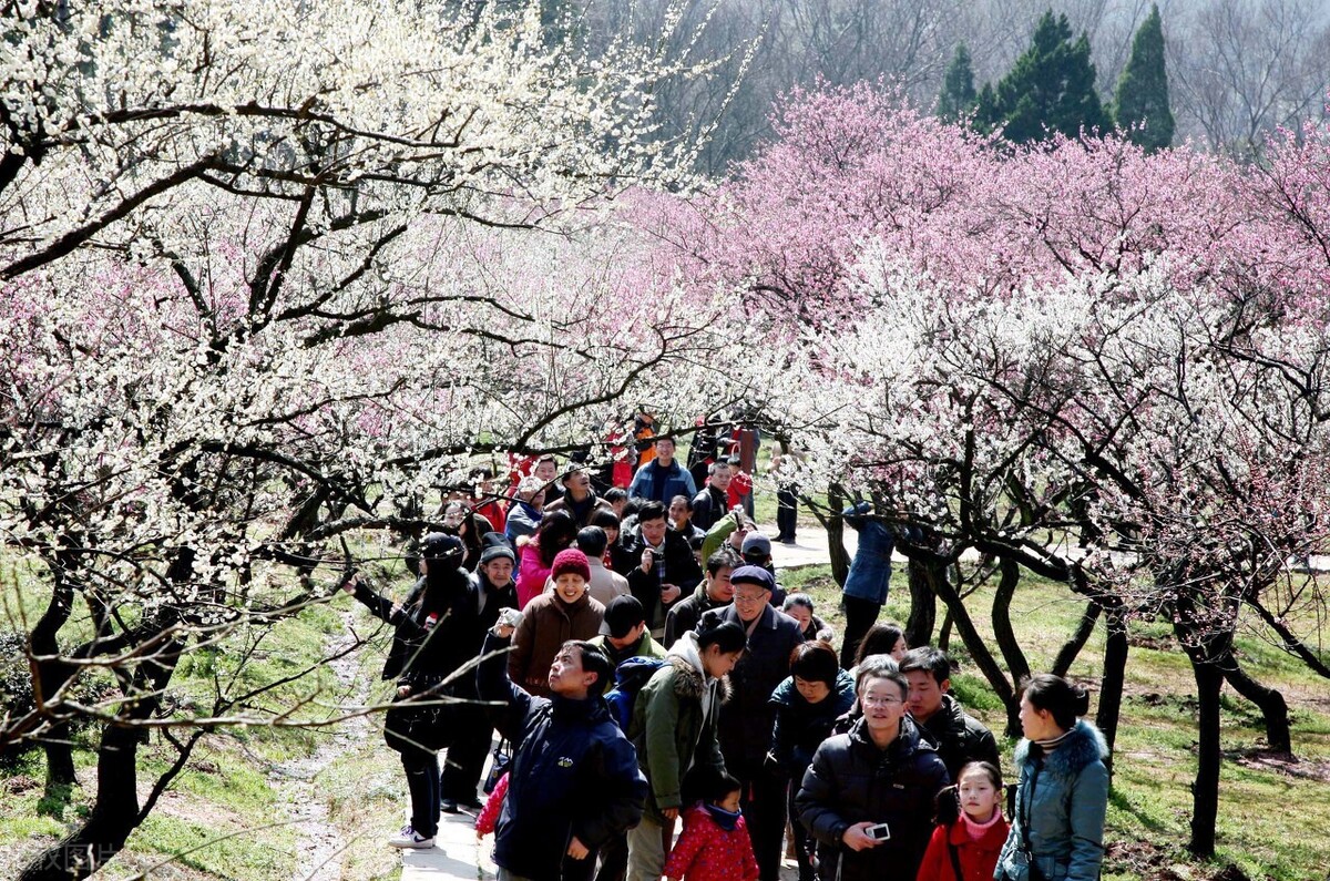 清明节的风俗习惯的相关图片资料,清明节的来历和习俗简介短视频