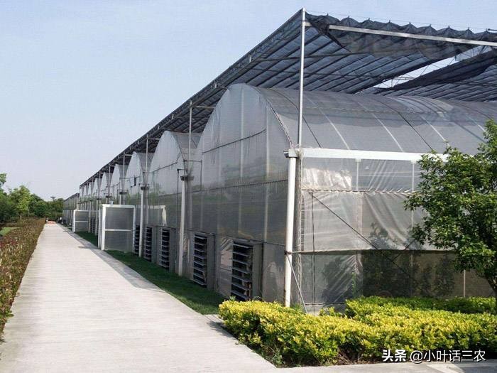 投资扶贫有回报吗,扶贫产业项目大全