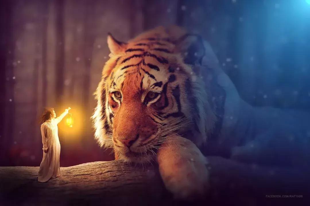 ps教程有趣的合成案例,ps合成教程大全集