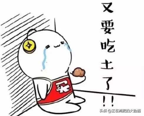 不要买的大牌包包,几十元大牌包包是真的吗