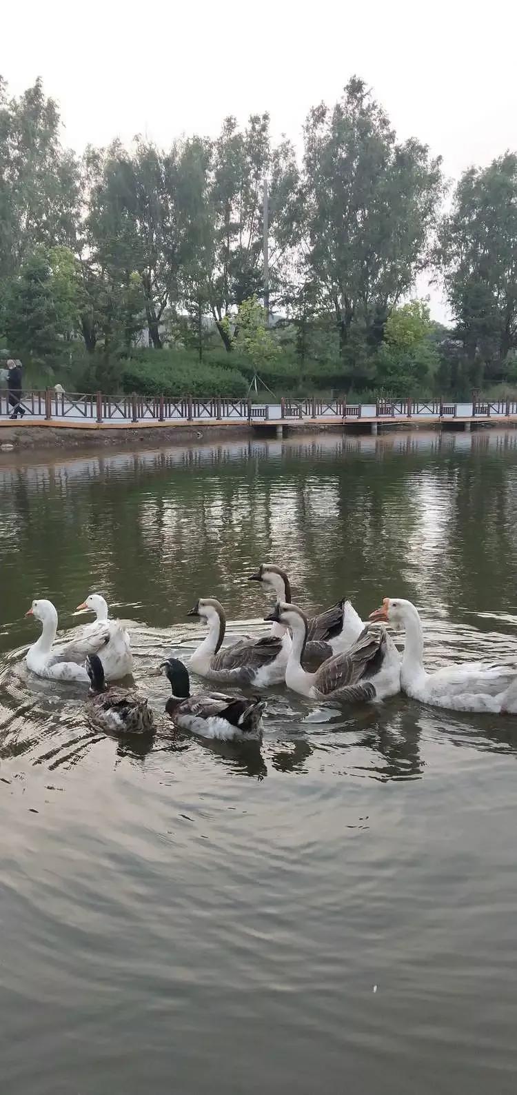 辽宁省本溪市高级中学,本溪市高级中学2021高考成绩