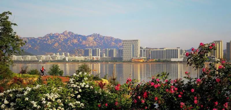 中国石油大学华东缺点,中国石油大学华东为什么考数二