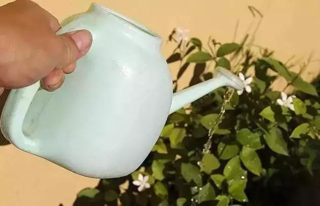 家里过期的消炎药养花有用吗,哪些过期药能用来养花