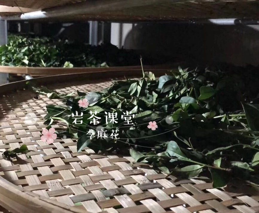 武夷岩茶大红袍紫砂壶怎么冲泡,大红袍武夷岩茶的冲泡方法