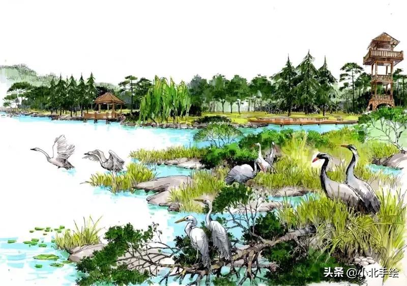 马克笔绘画初学者该用哪种马克笔,马克笔简单调色理论