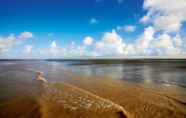 九段沙湿地可以参观吗,上海九段沙湿地有多大