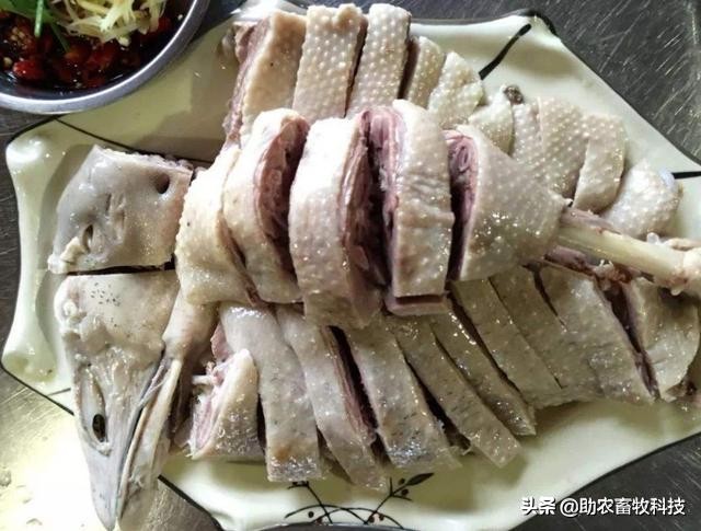 鸡鸭价格低迷销售困难怎么办？这几招来解困