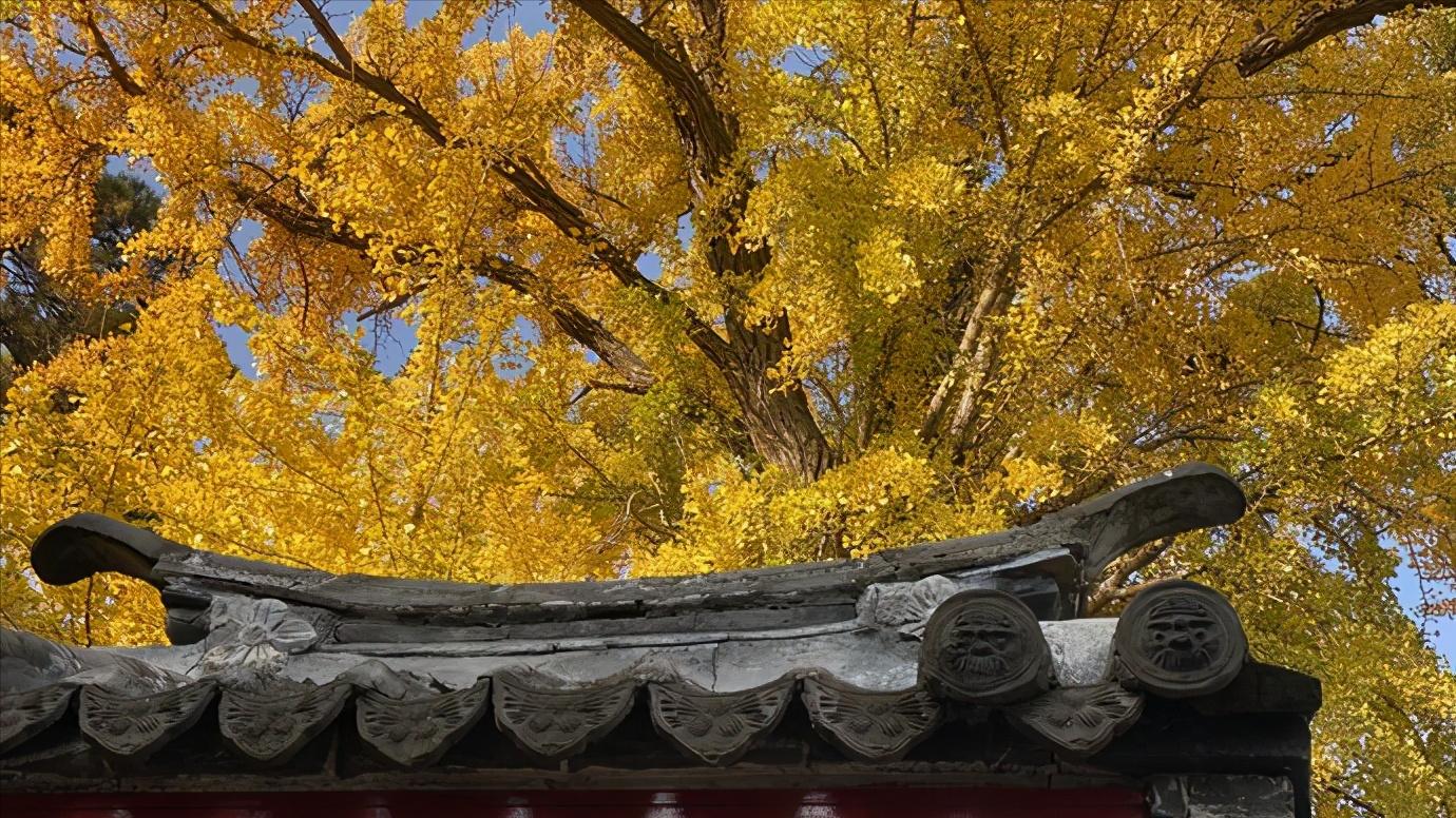 辽宁省发展鞍山篇,辽宁省鞍山市区域划分