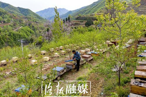 嵩县三合村:脱贫户“铁拐张”的生活“甜蜜蜜”