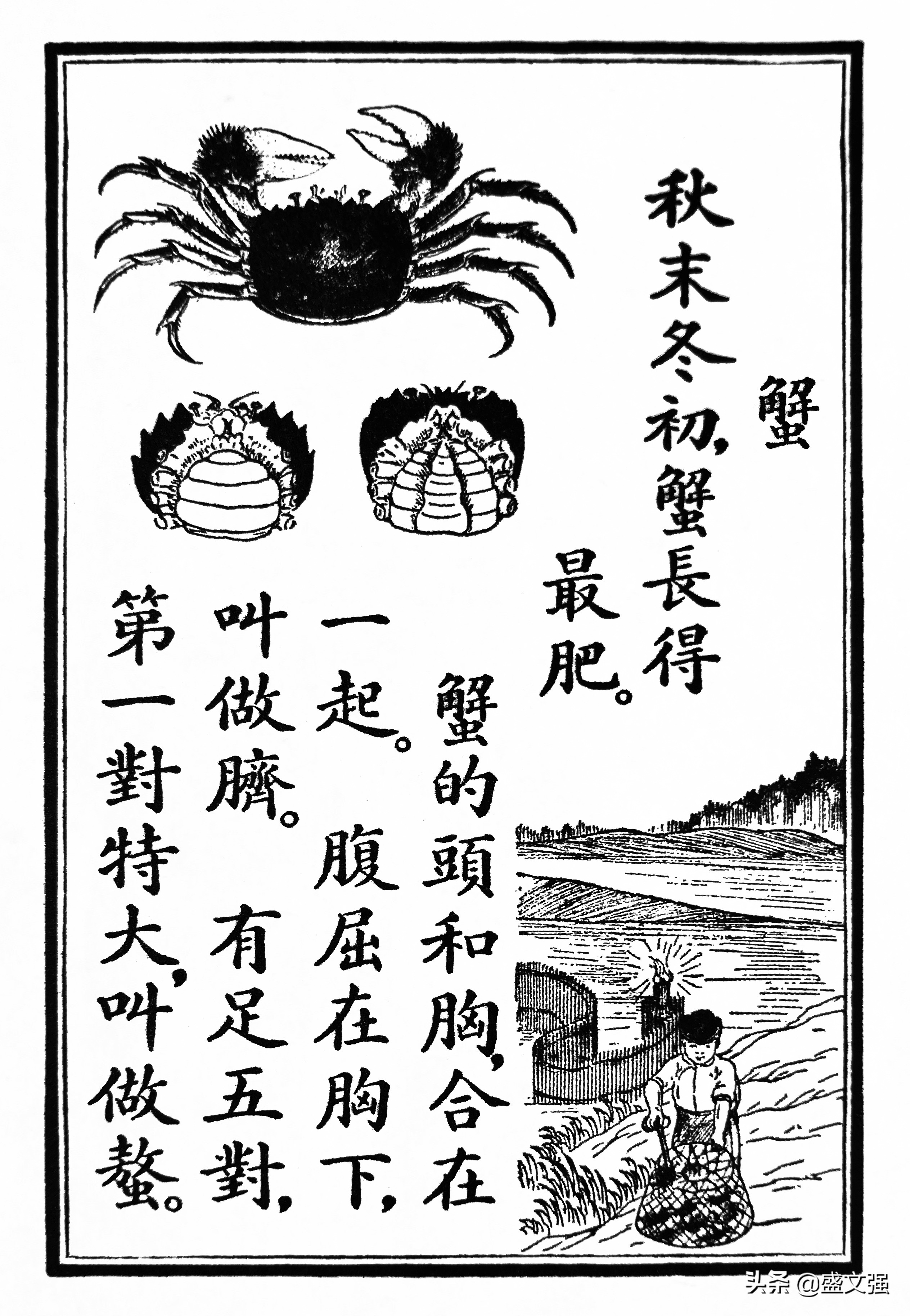 什么季节适合抓沙蟹,又到秋高蟹肥时下半句