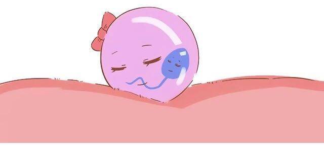 为什么有的精子无法与卵子结合,精子什么情况下不与卵子结合