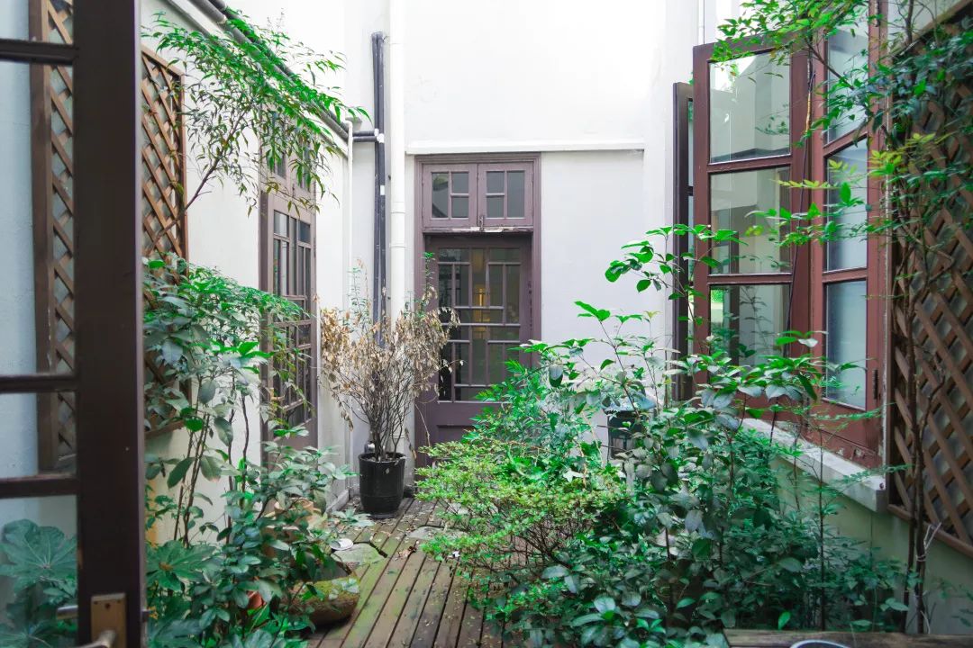 趣办空间|临窗观草木,*情纵**山水间:趣办@长乐路