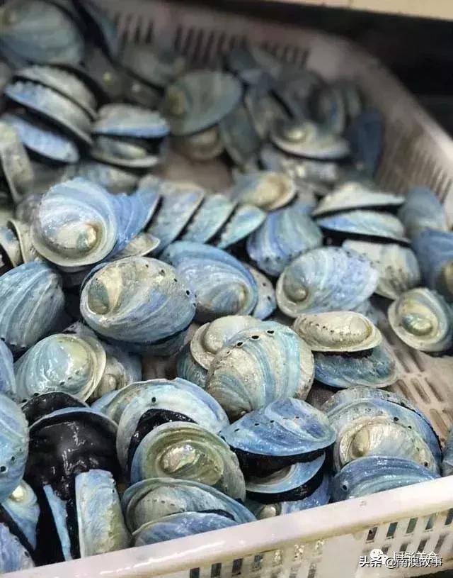 水煮贝壳类海鲜煮多久,海边海鲜用什么水煮好吃