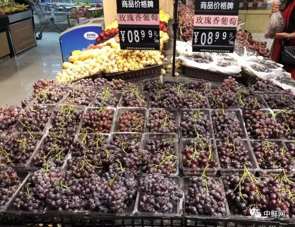 水果生飞虫难治?防治果蝇的实用方法