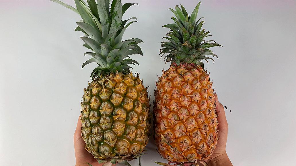 台湾凤梨和菠萝有何区别,台湾凤梨禁令是什么