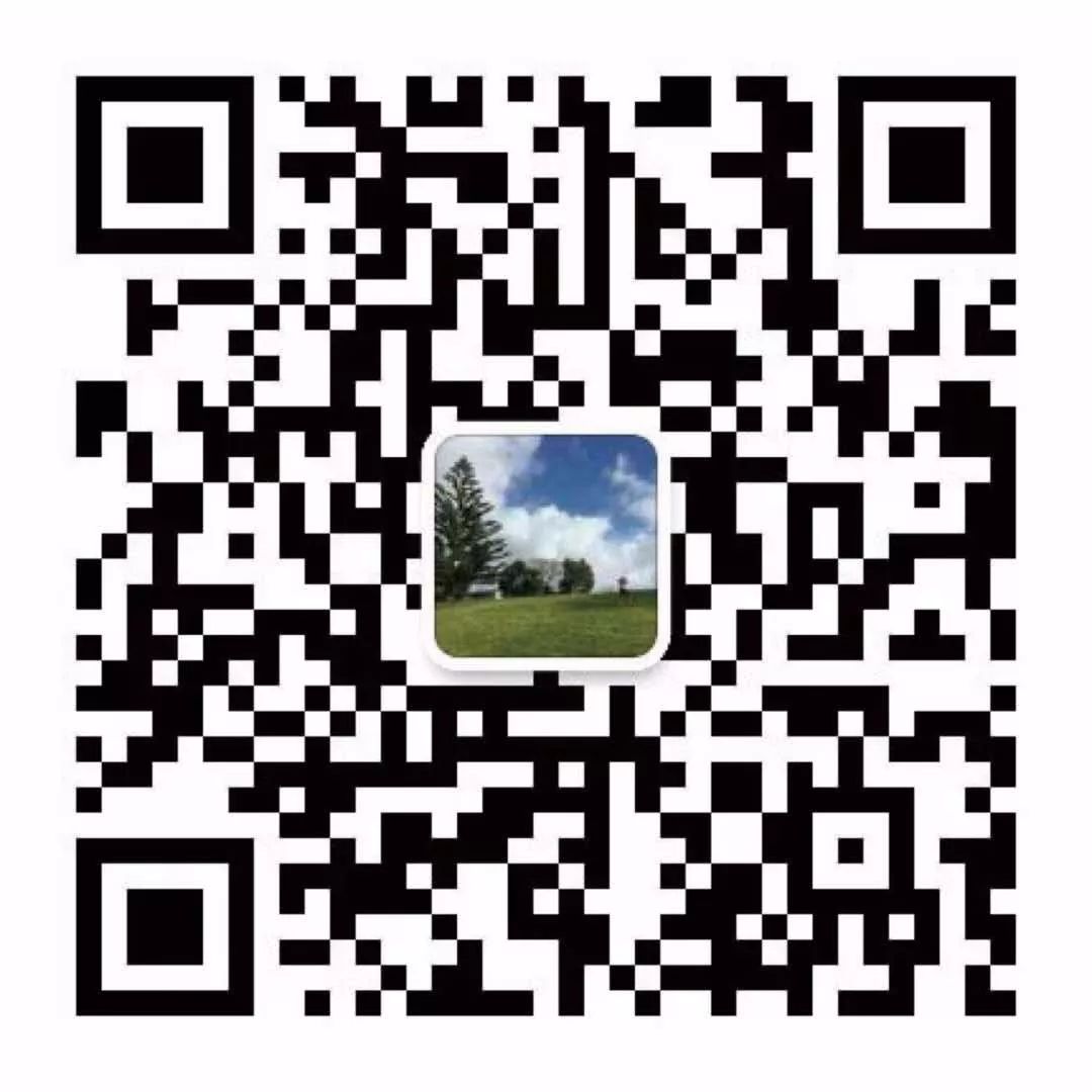 在新西兰如何选择学习第二外语