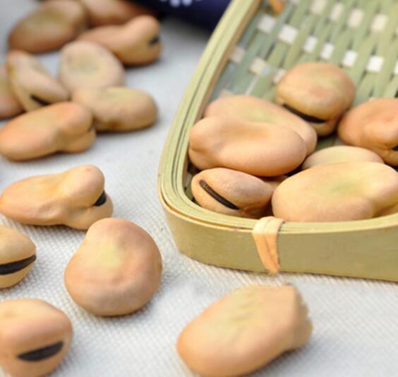 过年好吃的坚果有哪些,春节必吃的几种坚果