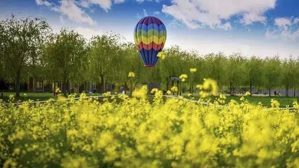 龙园开放了吗,龙园景区最新消息