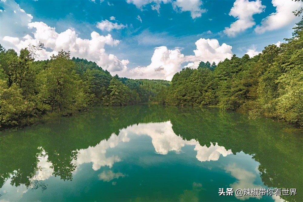 从西到东：贵州——沿河流“黔”行在这里一万种辣椒吃法向你奔来