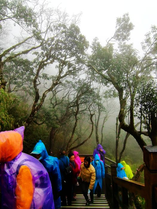 雨中的梵净山景色,烟雨梵净山