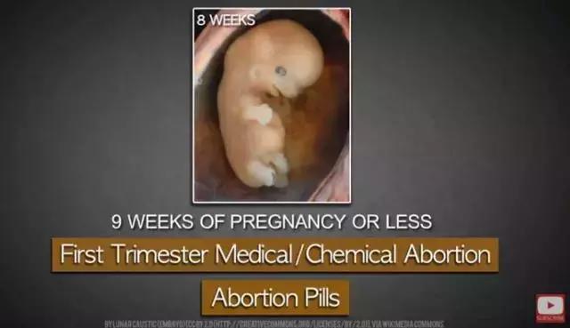 丁嘉丽明星的故事,丁嘉丽央视