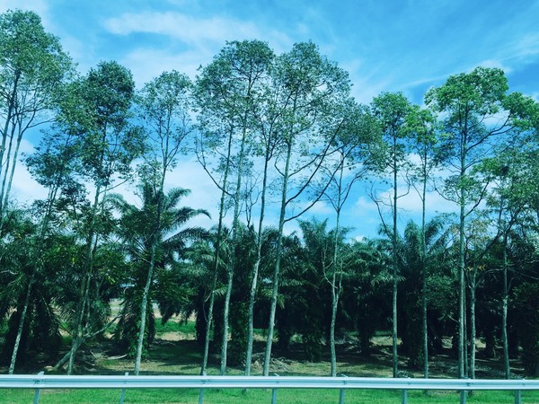 你是我生活远道而来的风景兰卡威斯里兰卡