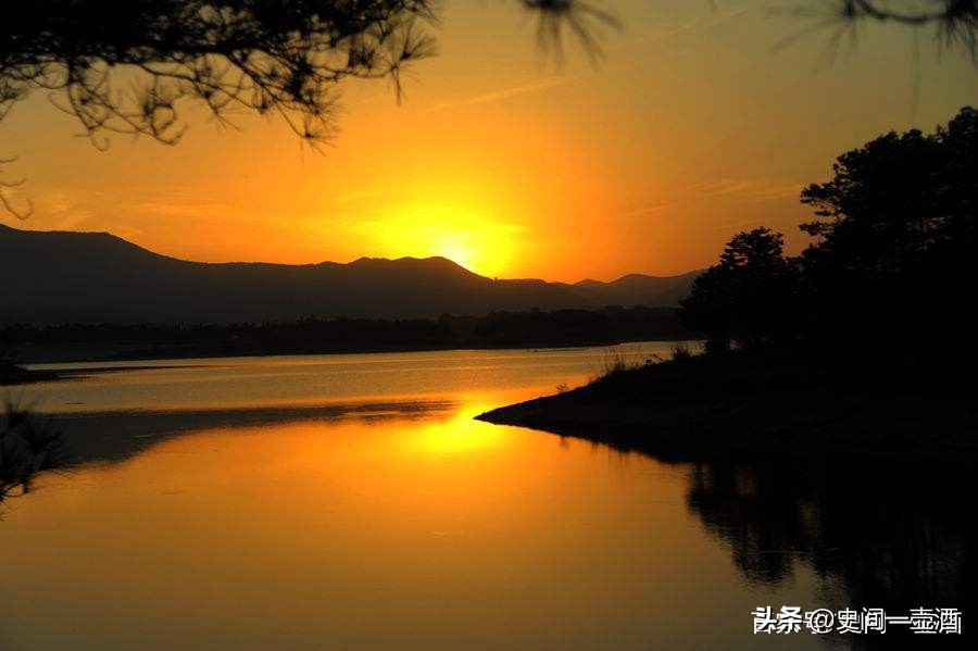 河南一县，古称涅阳，菩提寺是中原名寺，玉雕地毯金鱼玉兰花有名