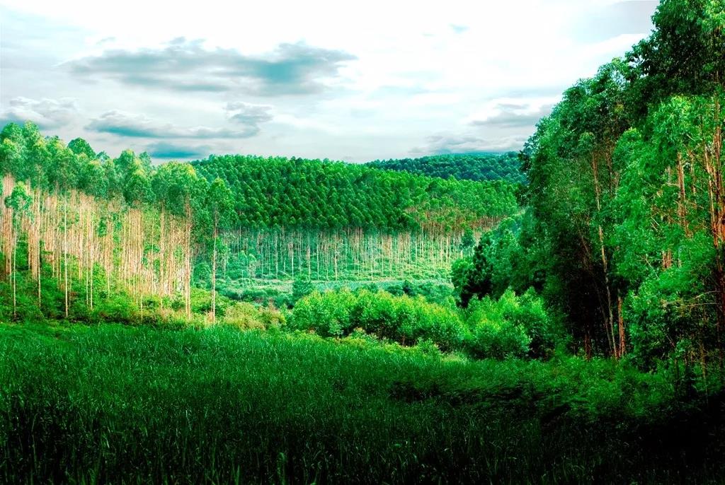 好家具源自于好工艺,好家具值得客户信赖