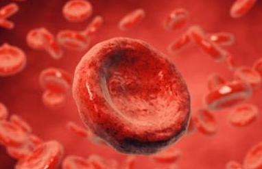 蚕豆病如何避免遗传,蚕豆病是如何遗传的