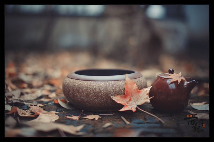 读懂菜根谭的9句经典语录,菜根谭10句经典名言悟透百态人生