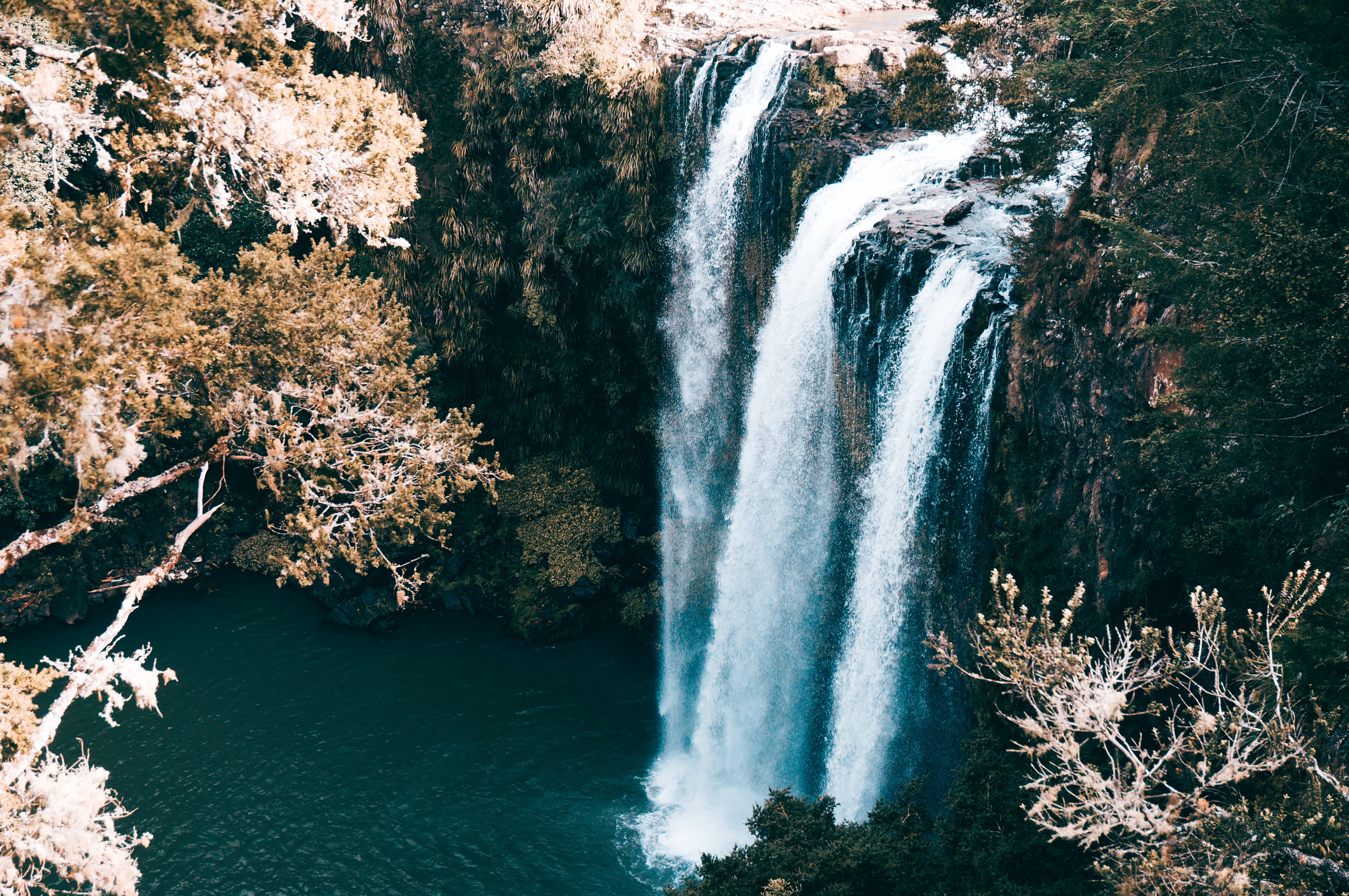 不到4W元的14年中古车，如何陪我闯荡奥克兰（附小众景点干货）