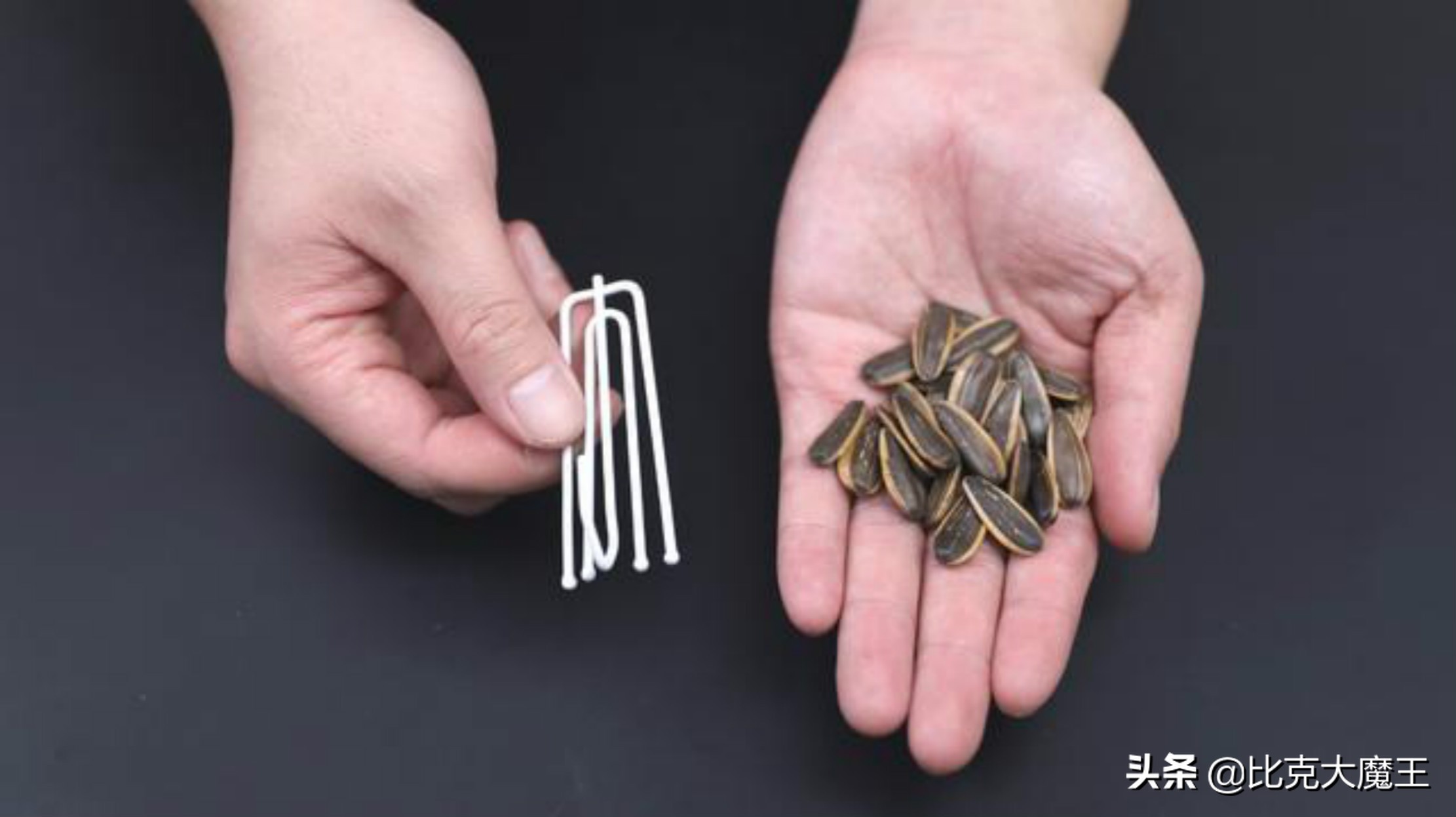 快速剥瓜子皮方便方法,用夹子剥瓜子小妙招