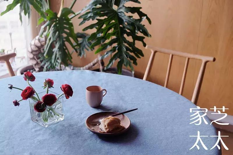 终极揭秘！这个孕育了“家芝太太”的家长什么样？