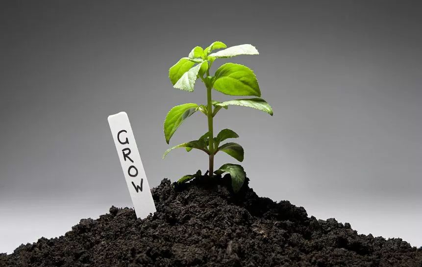 一浇水就没虫!真的吗?智能缓控释颗粒,向您推荐的五大理由