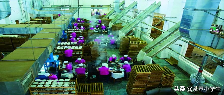 双十一普洱茶排行单品,双11普洱茶成交额排行榜