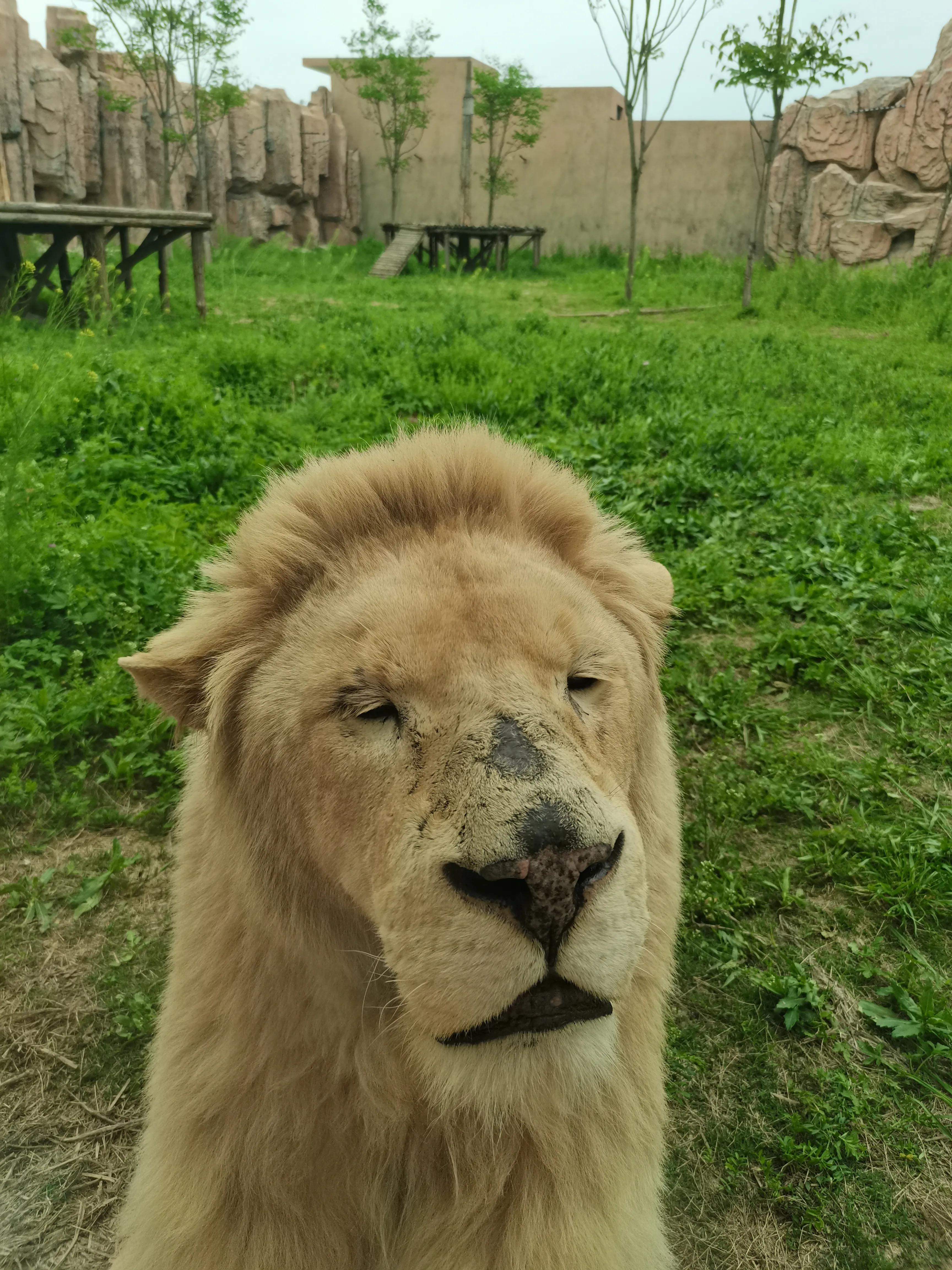 宿州火车站到宿州野生动物园,济南野生动物园和宿州野生动物园