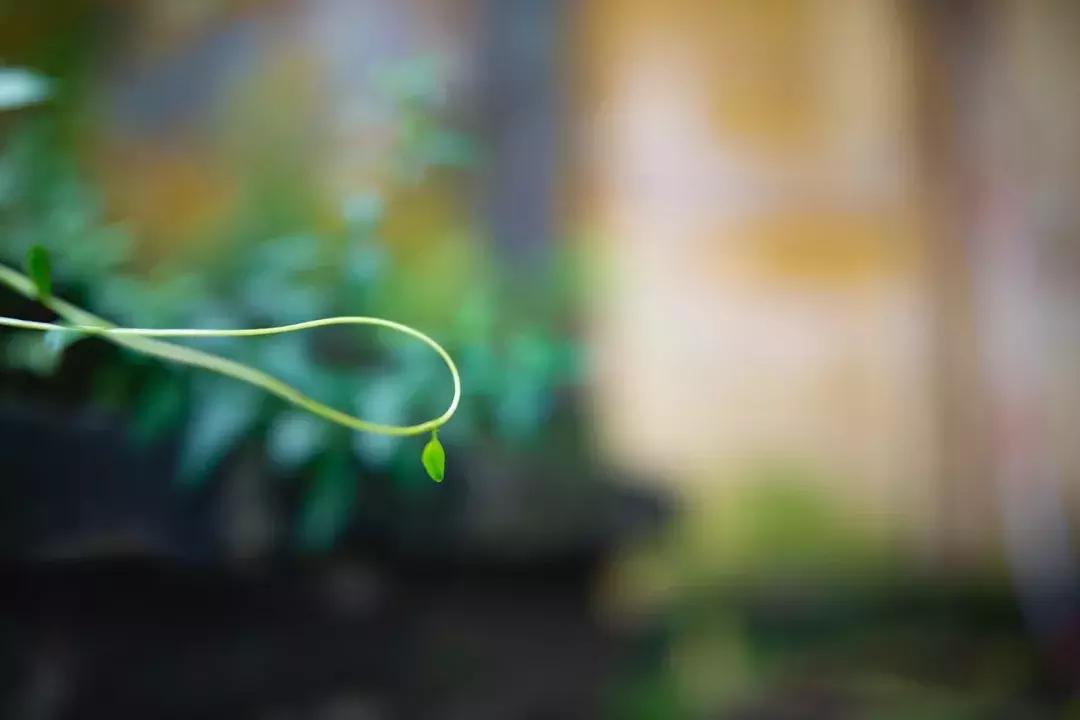 尼康定焦镜头35f1.8跑焦吗,适马150-600镜头跑焦怎么办