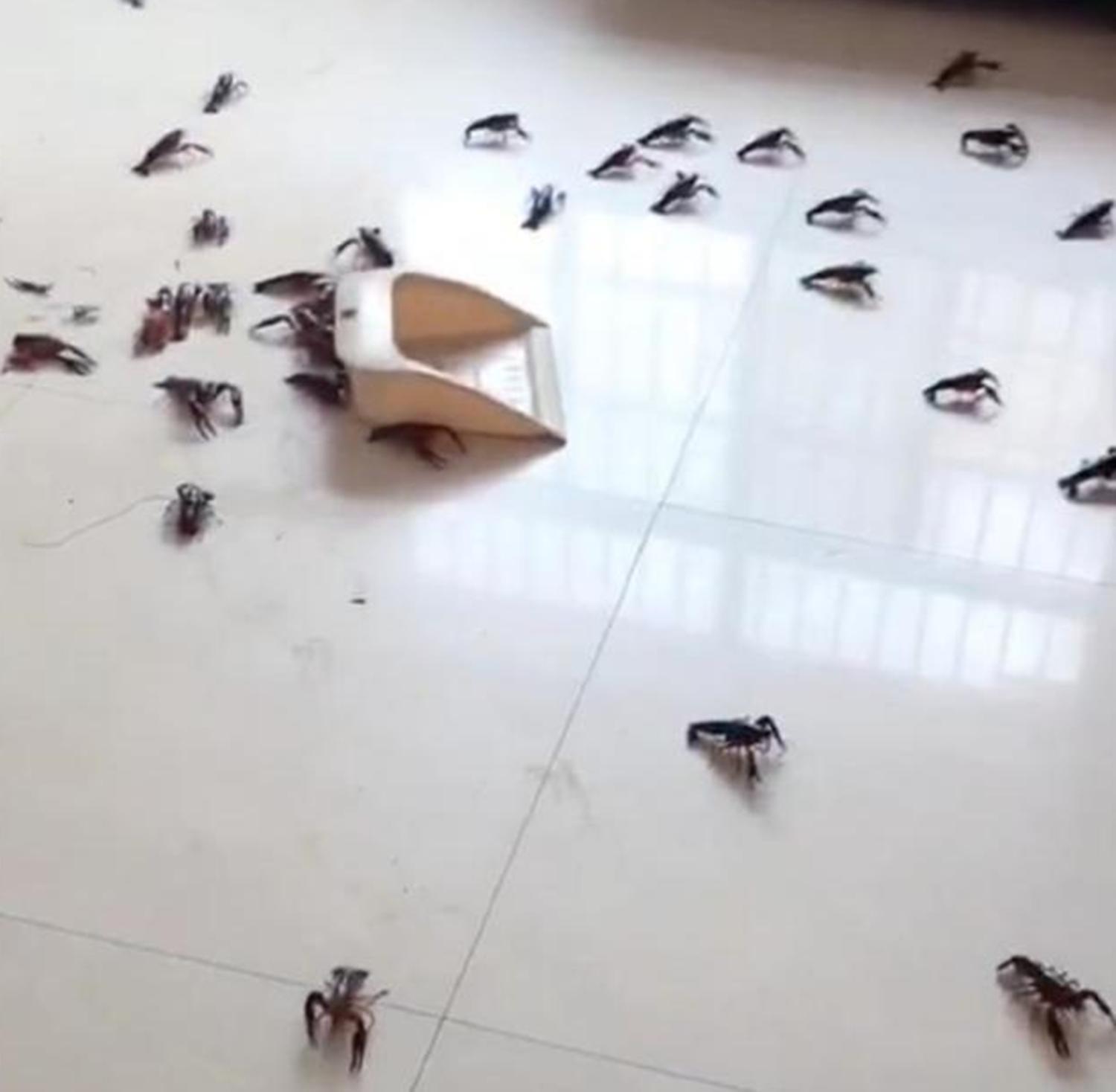 小孩性格皮得很怎么办,孩子特别皮怎么办