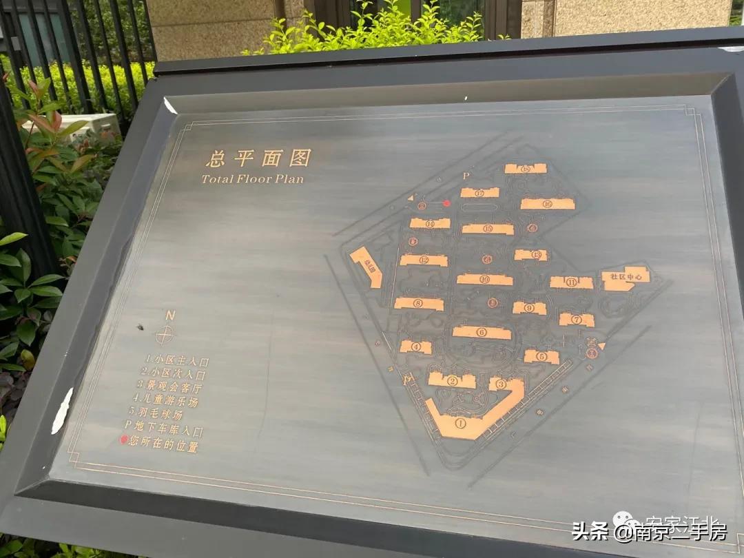 卖了九年房子后悔,五桥板块未来5年房价