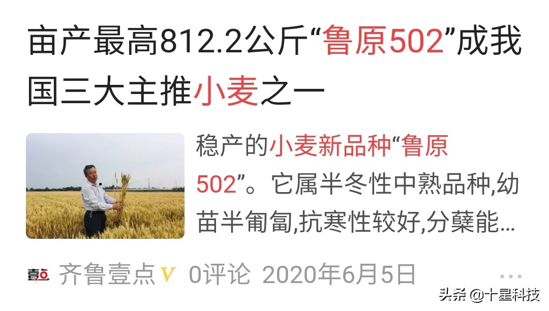 赠送种子助农增收活动,免费送稻种带动350户春耕