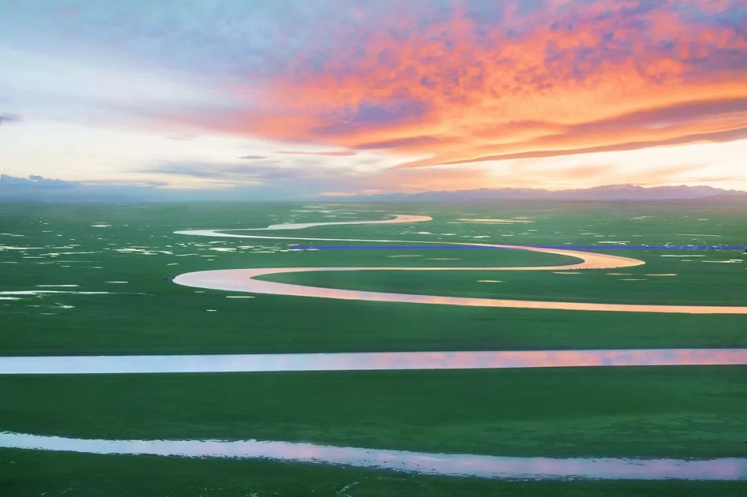 涓嶈兘鍘诲鍦扮殑鐞嗙敱,浜旂浜轰笉鑳藉幓鐤嗗唴鏃呮父