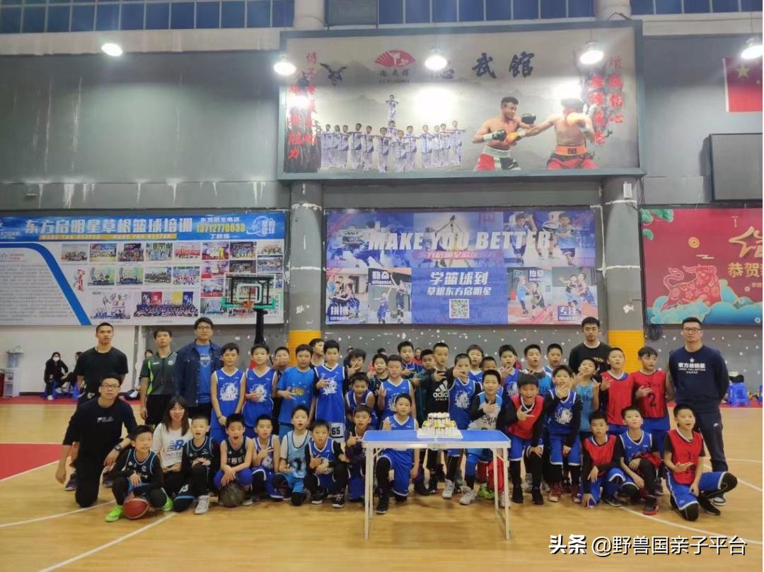 东莞儿童篮球培训机构哪个好,东莞儿童健身球哪家好